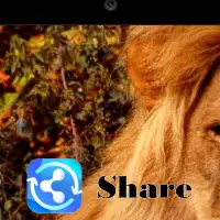 Share - File Sharing